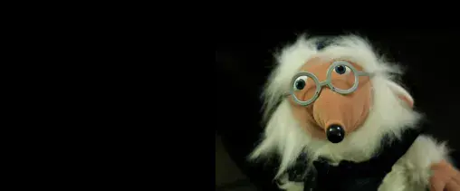 Great Uncle Bulgaria of the Wombles