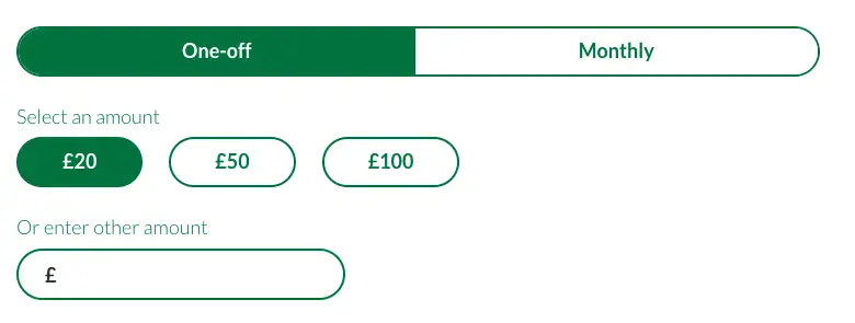 The custom component we built for handling donation amounts