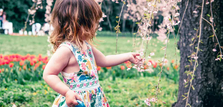 A young girl looks at tree blossom, poppy fields behind her